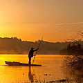 Golden morning