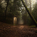 Hansel and Gretel