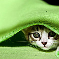 Peeking