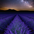 Fields of Eden
