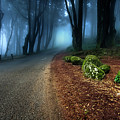 Take the journey